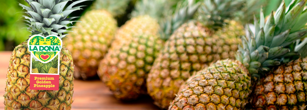 Panamanian pineapple farmer collaborates with Dutch promotion agency ...