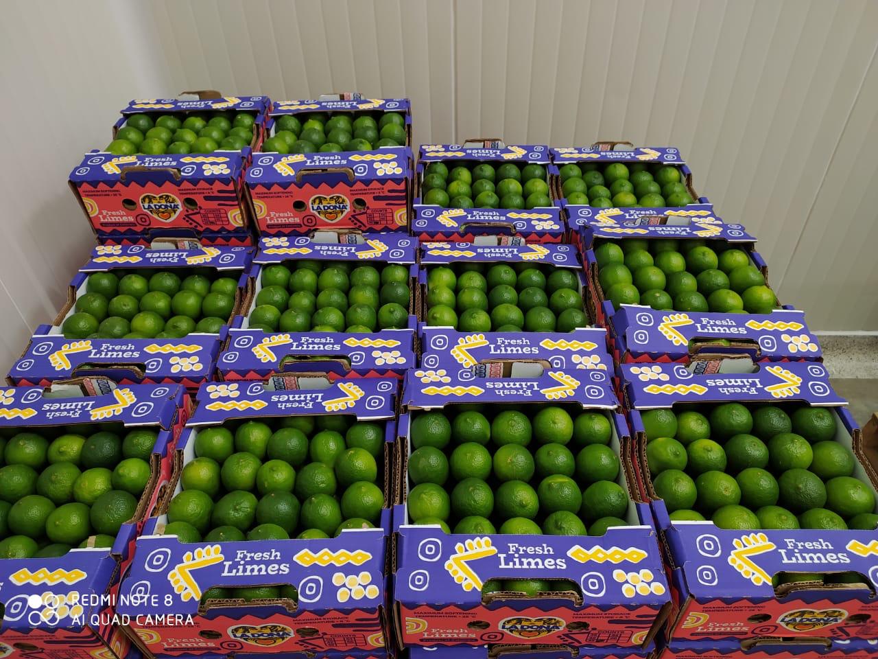 LA DONA FRUIT OPENS PIONEERING PACKHOUSE La Dona FruitLa Dona Fruit