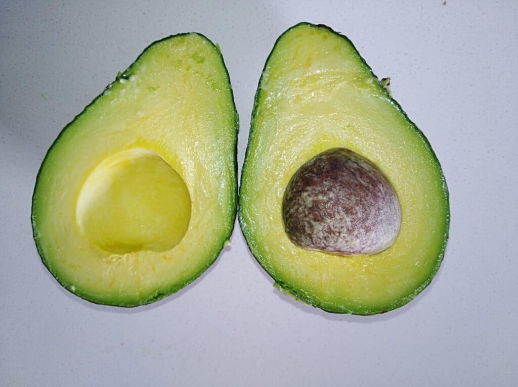 avocode fruit